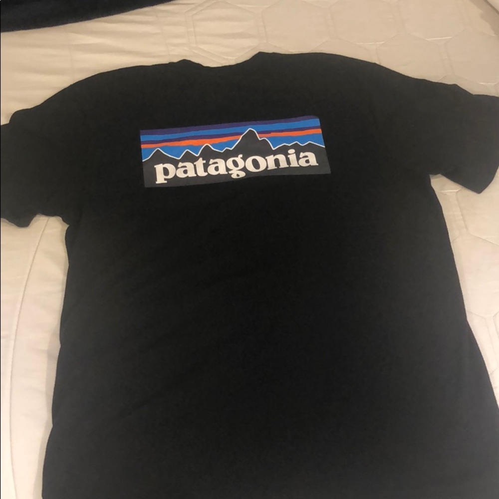 Patagonia T-shirt